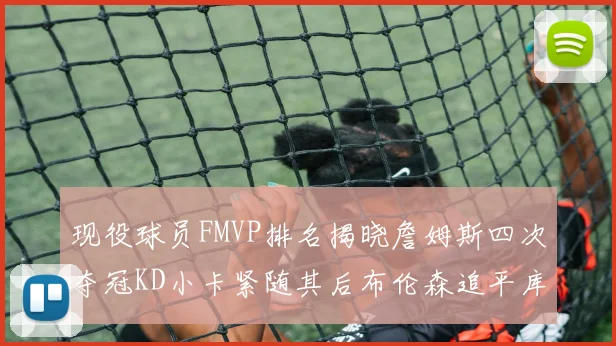 现役球员FMVP排名揭晓詹姆斯四次夺冠KD小卡紧随其后布伦森追平库里约基奇等