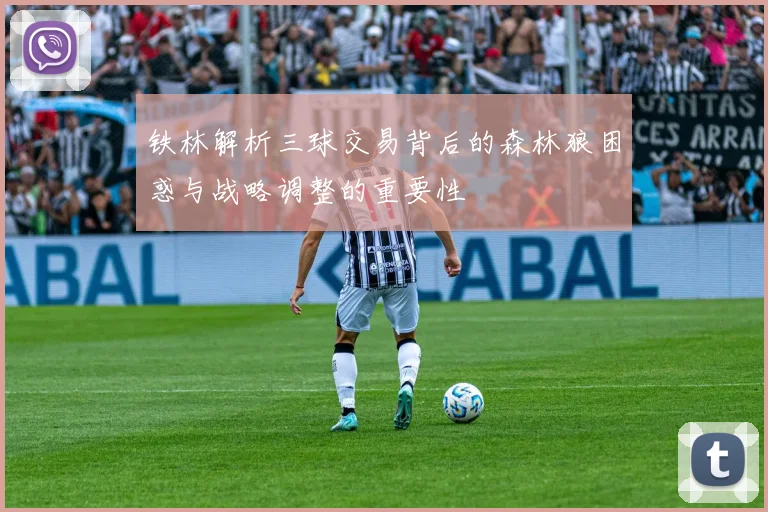 铁林解析三球交易背后的森林狼困惑与战略调整的重要性
